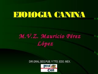 ETOLOGIA CANINA
M.V.Z. Mauricio Pérez
López
DIR.GRAL.SEG.PUB. Y TTO. EDO. MEX.
 