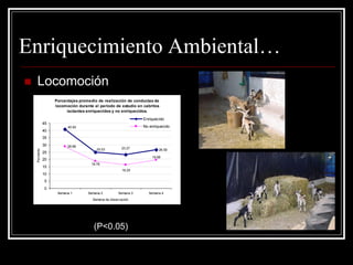 Enriquecimiento Ambiental… 
 Locomoción 
Porcentajes promedio de realización de conductas de 
locomoción durante el período de estudio en cabritos 
lactantes enriquecidos y no enriquecidos. 
26.59 
28.98 
25.03 23.27 
40.82 
16.25 
19.68 
18.78 
0 
5 
10 
15 
20 
25 
30 
35 
40 
45 
Semana 1 Semana 2 Semana 3 Semana 4 
Semana de observación 
Porciento 
Enriquecido 
No enriquecido 
(P<0.05) 
 