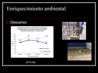 Enriquecimiento ambiental 
Descanso 
(P<0.05) Porcentajes promedio de realización de conductas de descanso durante el período de estudio en cabritos lactantes enriquecidos y no enriquecidos. 22.6325.7527.720.2125.5635.1434.8629.090510152025303540Semana 1Semana 2Semana 3Semana 4Semana de observación Porciento EnriquecidoNo enriquecido  