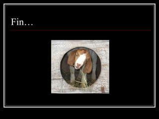 Fin… 