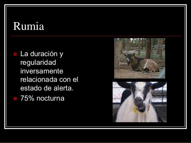 Si es posible adelgazar después de que ha dejado a fumar