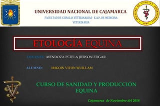 UNIVERSIDAD NACIONAL DE CAJAMARCA
ETOLOGÍA EQUINA
CURSO DE SANIDAD Y PRODUCCIÓN
EQUINA
Cajamarca de Noviembre del 2018
ALUMNO: IRIGOIN VITON WUILLAM
DOCENTE: MENDOZA ESTELA JIERSON EDGAR
 