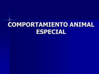 COMPORTAMIENTO ANIMAL
ESPECIAL
 