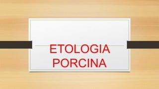 ETOLOGIA
PORCINA
 