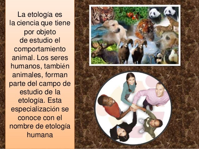 ¿Qué es la Etología?