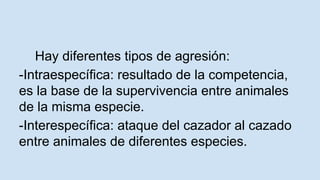 Hay diferentes tipos de agresión: 
-Intraespecífica: resultado de la competencia, 
es la base de la supervivencia entre animales 
de la misma especie. 
-Interespecífica: ataque del cazador al cazado 
entre animales de diferentes especies. 
 