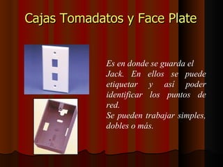 Cajas Tomadatos y Face Plate   Es en donde se guarda el Jack. En ellos se puede etiquetar y así poder identificar los puntos de red. Se pueden trabajar simples, dobles o más. 