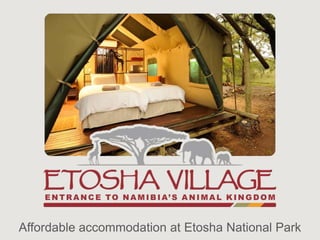 Affordable accommodation at Etosha National Park

 