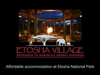 Affordable accommodation at Etosha National Park 