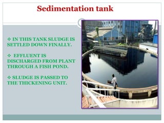 Sedimentation tank
 IN THIS TANK SLUDGE IS
SETTLED DOWN FINALLY.
 EFFLUENT IS
DISCHARGED FROM PLANT
THROUGH A FISH POND.
 SLUDGE IS PASSED TO
THE THICKENING UNIT.
 
