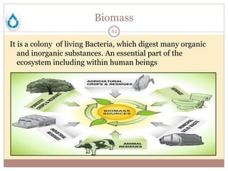 Biomass
62
It is a colony of living Bacteria, which digest many organic
and inorganic substances. An essential part of the
ecosystem including within human beings
 