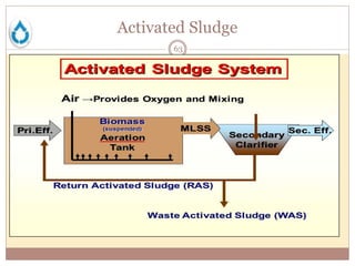 Activated Sludge
63
• Sludge that has undergone flocculation forming a
bacterial culture typically carried out in tanks.
• Can be extended with aeration.
 