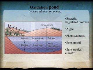 Oxidation  pond  (waste stabilization ponds) Bacteria/ flagellated protozoa  Algae Photosynthesis Economical Suits tropical climates 