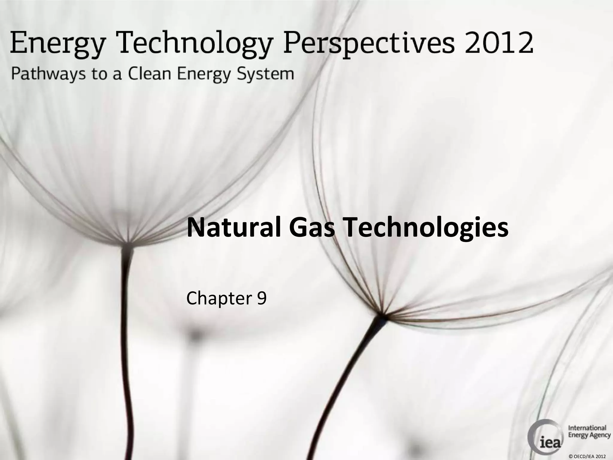 Natural Gas Technologies

Chapter 9




                           © OECD/IEA 2012
 