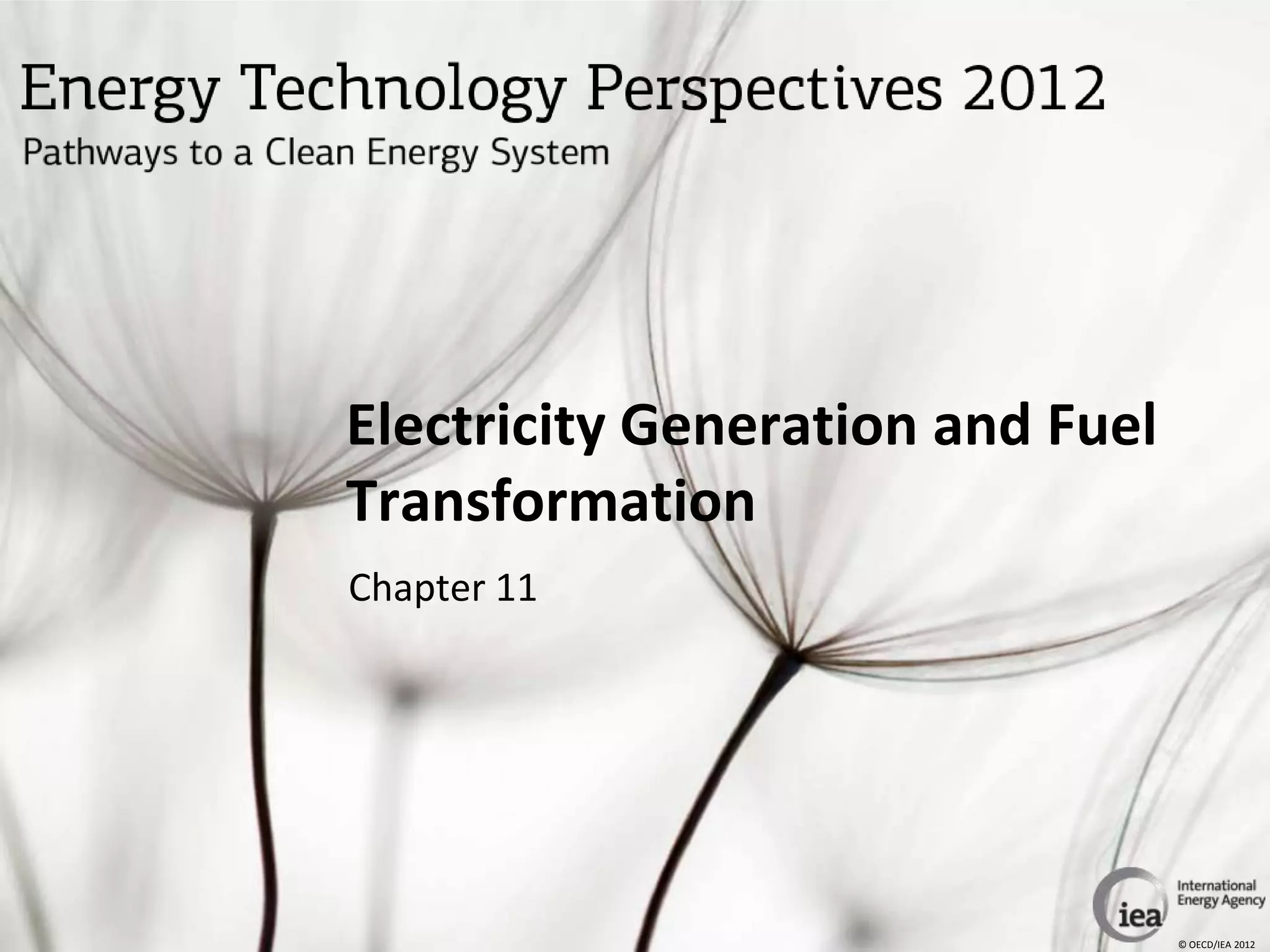 Electricity Generation and Fuel
Transformation
Chapter 11




                                  © OECD/IEA 2012
 