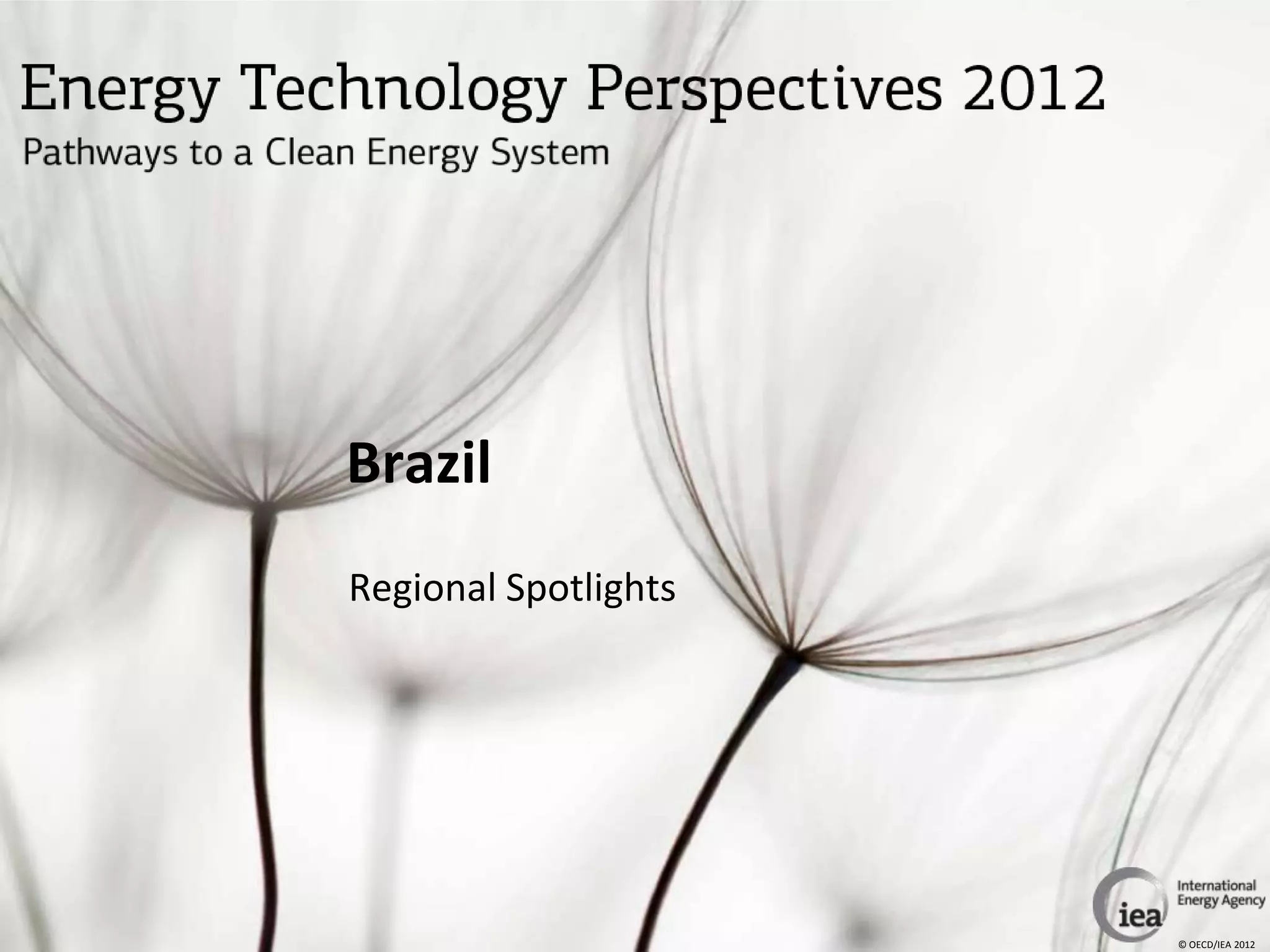 Brazil
Regional Spotlights




                      © OECD/IEA 2012
 
