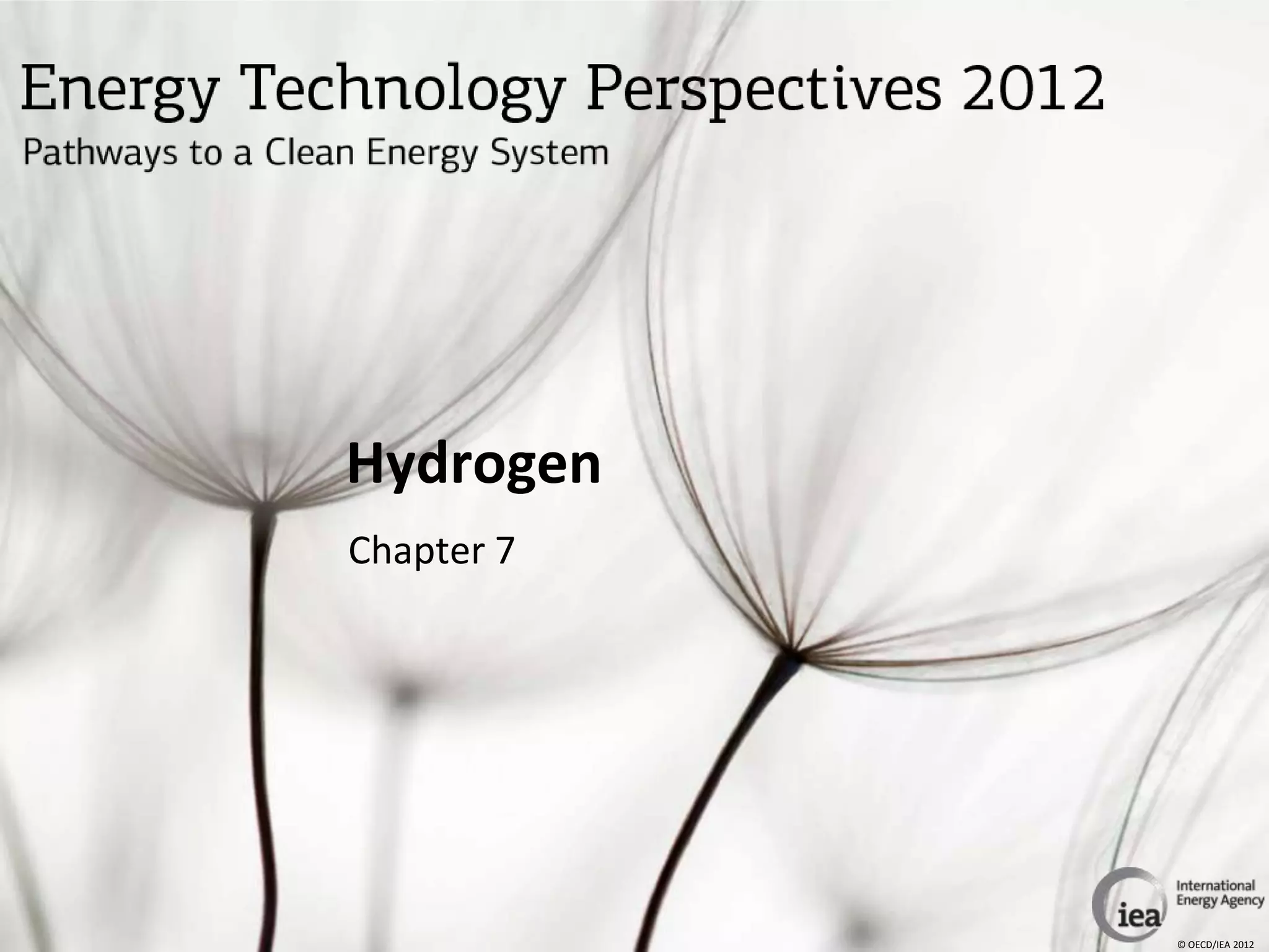 Hydrogen
Chapter 7




            © OECD/IEA 2012
 