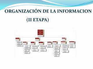 ORGANIZACIÓN DE LA INFORMACION
       (II ETAPA)
 