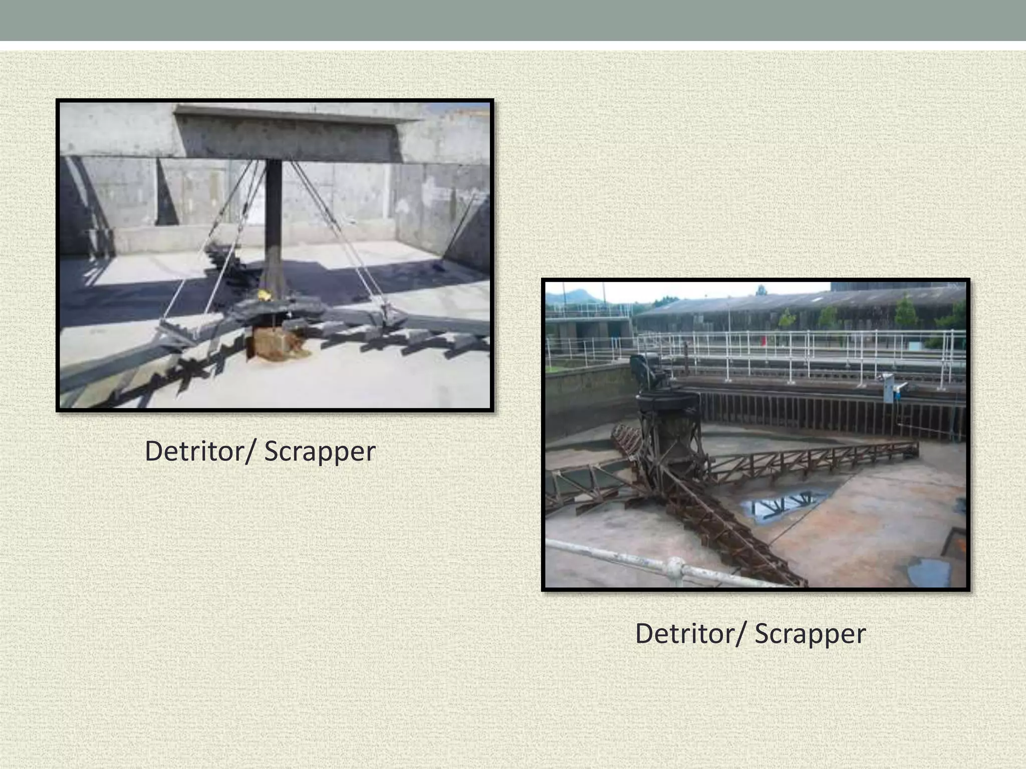 Detritor/ Scrapper
Detritor/ Scrapper
 