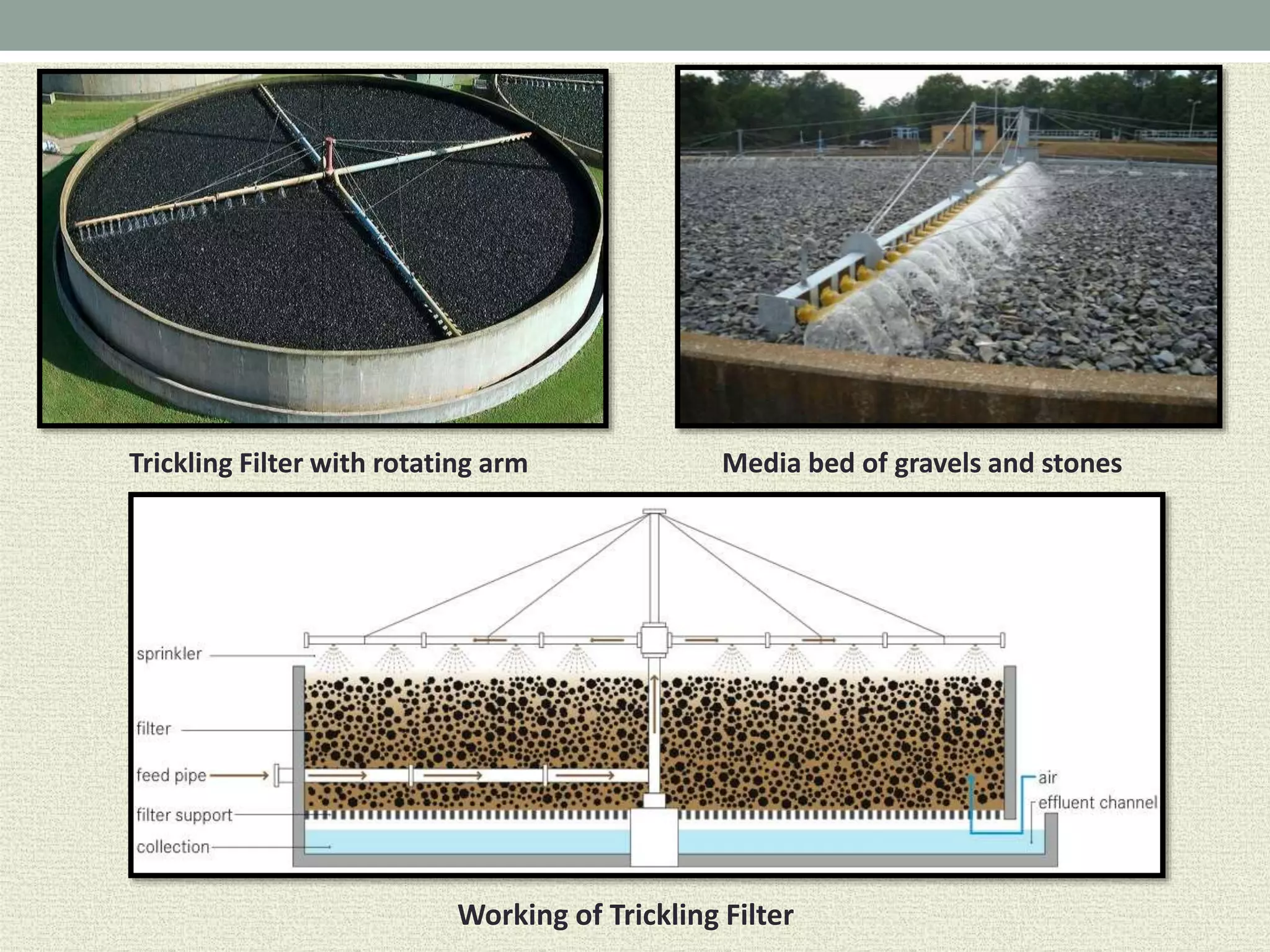 Trickling Filter with rotating arm
Working of Trickling Filter
Media bed of gravels and stones
 