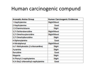 Human carcinogenic compund
 