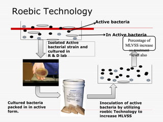 Roebic Technology
Active bacteria
In Active bacteria
Isolated Active
bacterial strain and
cultured in
R & D lab
Cultured bacteria
packed in in active
form.
Inoculation of active
bacteria by utilizing
roebic Technology to
increase MLVSS
Percentage of
MLVSS increase
so treatment
level also
 