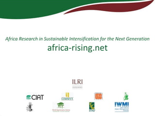 The Africa RISING project in Ethiopia