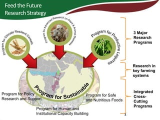 The Africa RISING project in Ethiopia