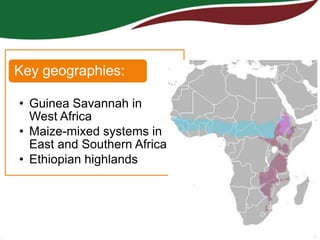 The Africa RISING project in Ethiopia