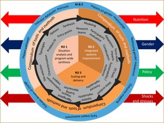 The Africa RISING project in Ethiopia
