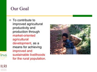 IPMS—Some reflections