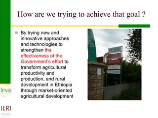 IPMS—Some reflections