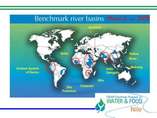 The Nile Basin Development Challenge: A component of  the CGIAR Challenge Program on Water and Food