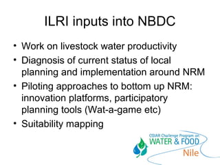 The Nile Basin Development Challenge: A component of  the CGIAR Challenge Program on Water and Food