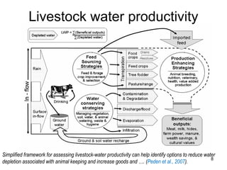 The Nile Basin Development Challenge: A component of  the CGIAR Challenge Program on Water and Food