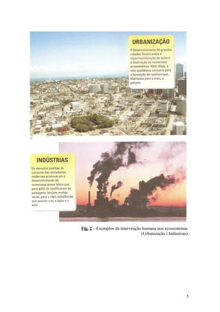 Fig. 2 – Exemplos da intervenção humana nos ecossistemas
(Urbanização i Indústrias).
5
 