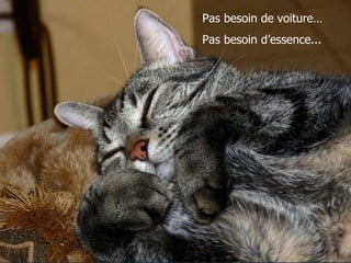 Pas besoin de voiture… Pas besoin d’essence... 