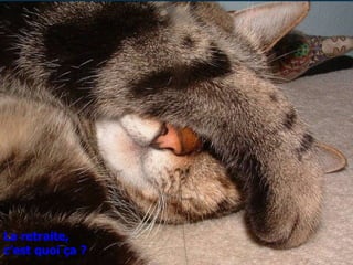 La retraite, c’est quoi ça ? 