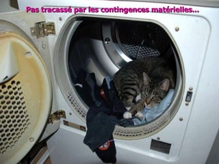 Pas tracassé par les contingences matérielles... 