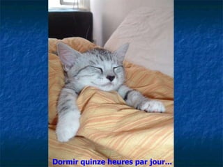 Dormir quinze heures par jour... 
