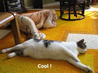 Cool ! 