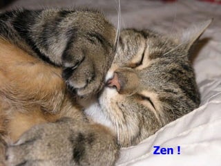 Zen ! 