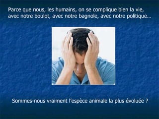 Parce que nous, les humains, on se complique bien la vie, avec notre boulot, avec notre bagnole, avec notre politique… Sommes-nous vraiment l’espèce animale la plus évoluée ? 