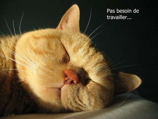 Pas besoin de travailler... 