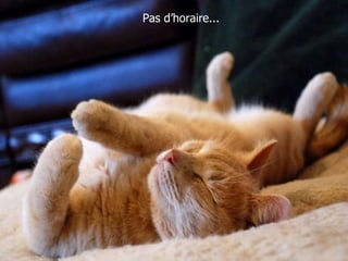 Pas d’horaire... 