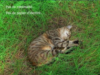 Pas de nationalité… Pas de papier d’identité... 