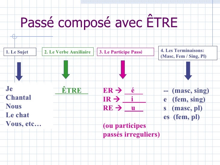 Perfect Tense With ETRE