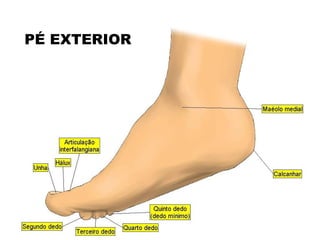 PÉ EXTERIOR 
 