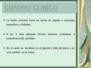 La lesión primaria inicia en forma de pápula o vesículas pequeñas y múltiples.  A los 5 días después forman lesiones pustulares o ulcerativas más  grandes. En el varón se  localizan en el glande o tallo del pene y en rara ocasión  en la uretra. 