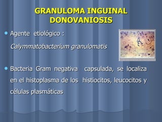 GRANULOMA INGUINAL   DONOVANIOSIS Agente  etiológico : Calymmatobacterium granulomatis  Bacteria Gram negativa  capsulada, se localiza en el histoplasma de los  histiocitos, leucocitos y células plasmáticas 